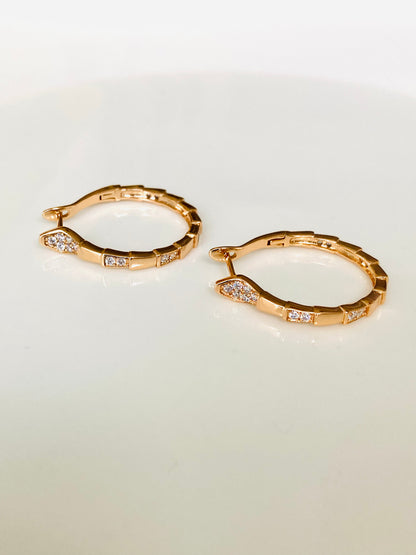 Glory Hoop Earrings