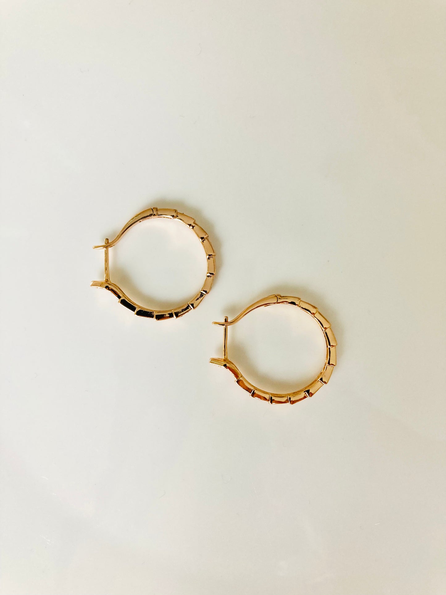 Glory Hoop Earrings