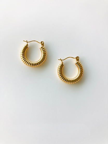 Seally Earrings