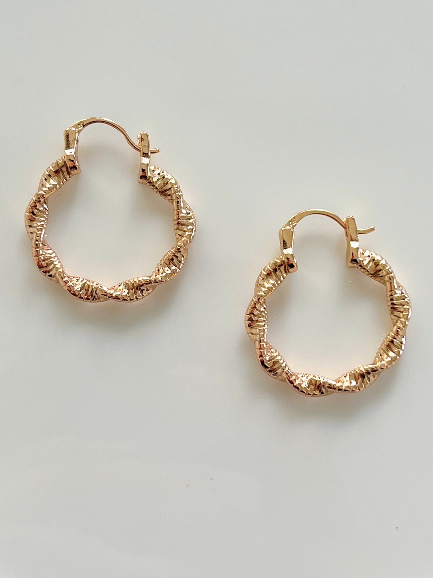 Shiny Twisted Hoops