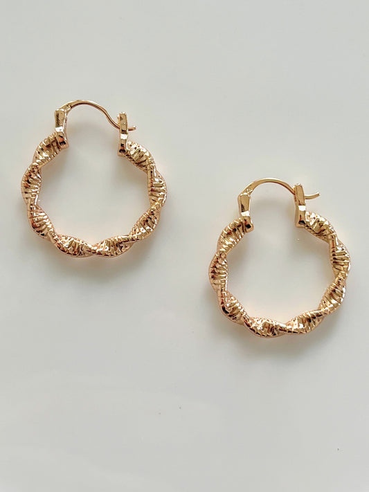 Shiny Twisted Hoops