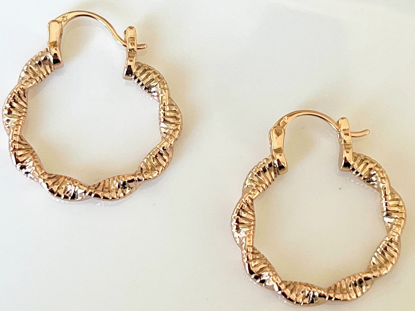 Shiny Twisted Hoops